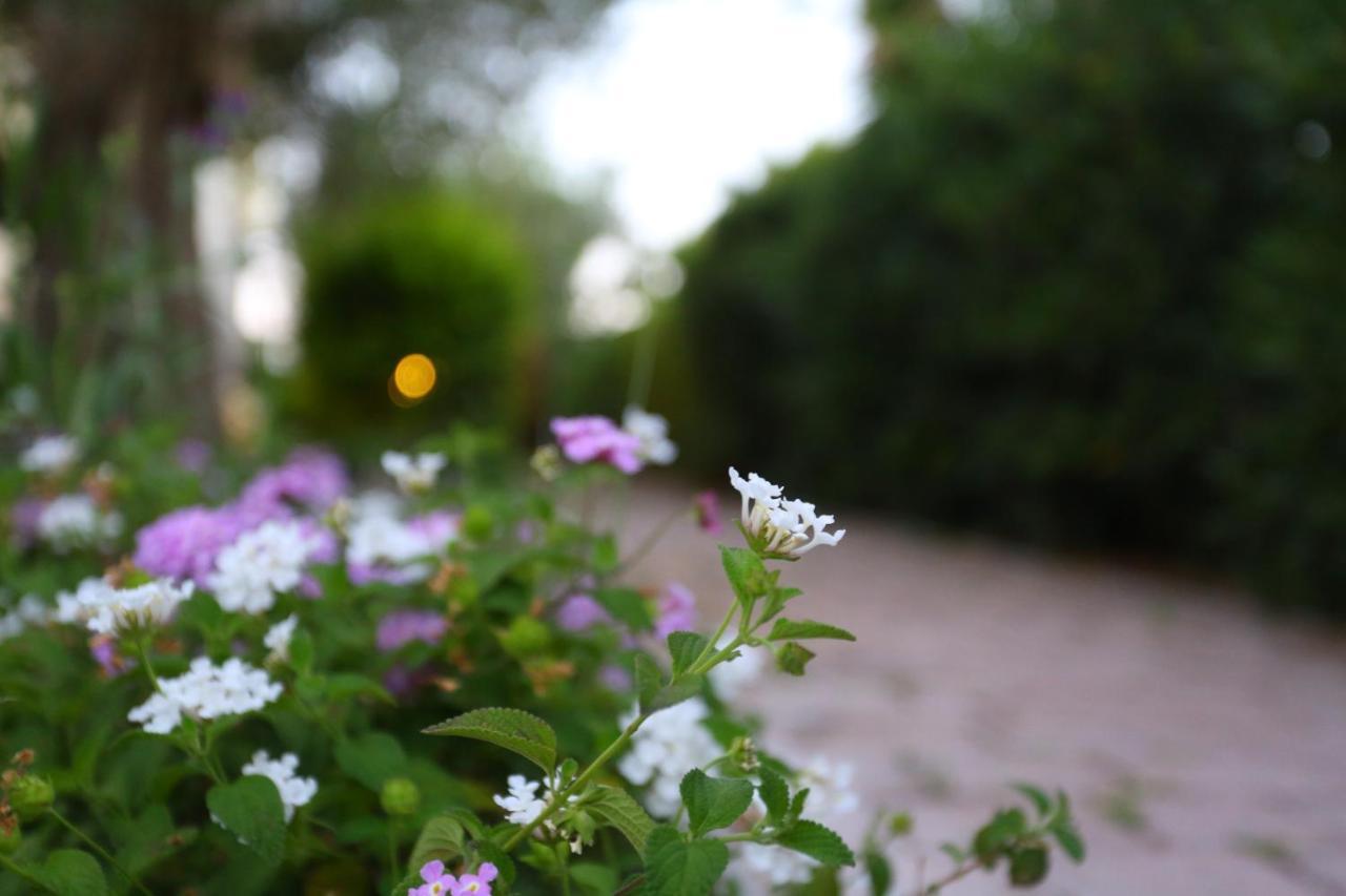 Dionisos Resort Пефкохорі Екстер'єр фото